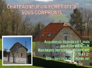 Purchase sale Chateauneuf La Foret